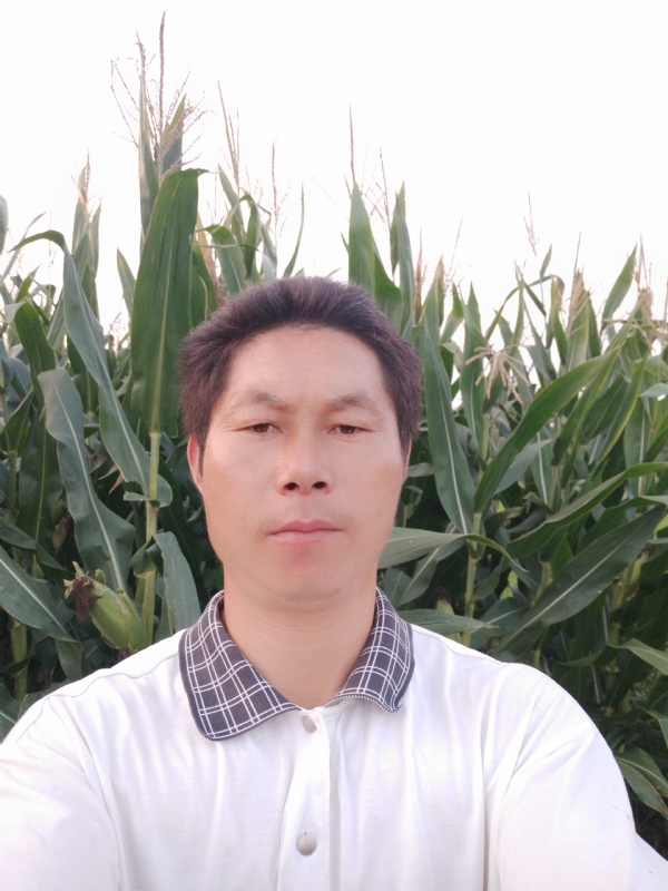 四海游龙的第二张照片--泰州相亲服务中心