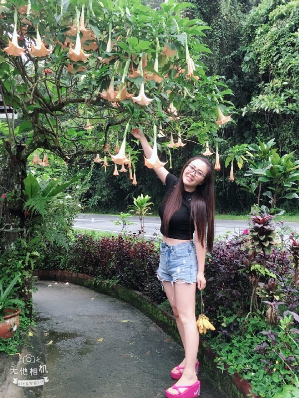 离异单身无子的第二张照片--泰州相亲服务中心