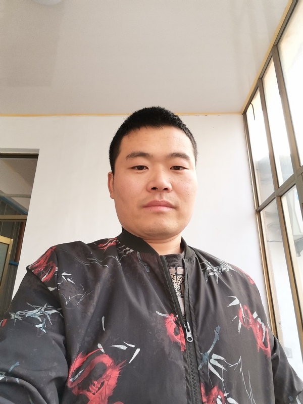 会飞的猪的第一张照片--泰州相亲服务中心