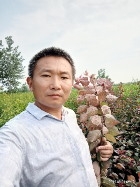 孩子爸的第一张照片--泰州相亲服务中心