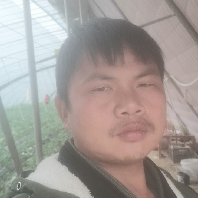 孤狼‘的第一张照片--泰州相亲服务中心
