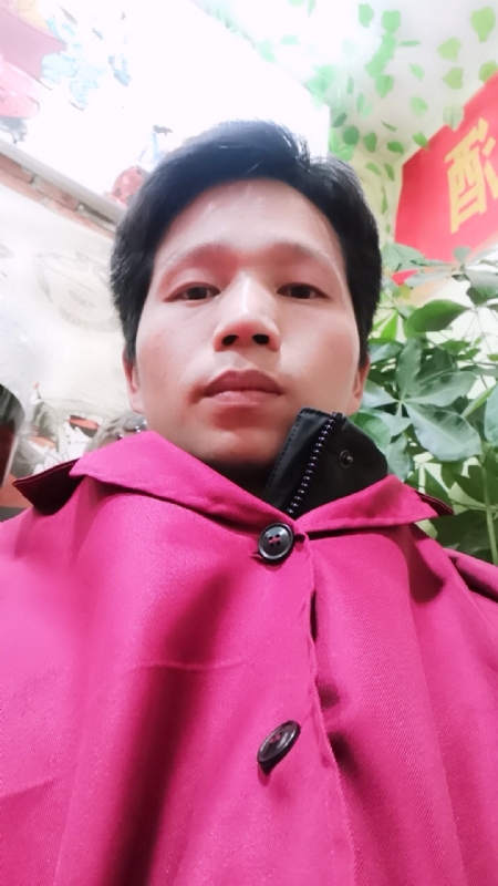 单身的林凡的第二张照片--泰州相亲服务中心