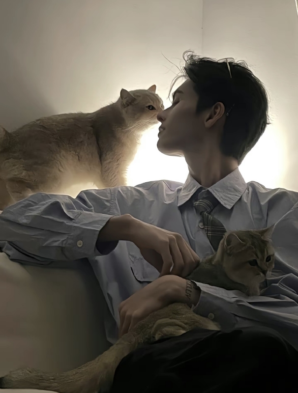 怪猫的第一张照片--泰州相亲服务中心